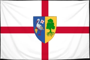 Флаг
